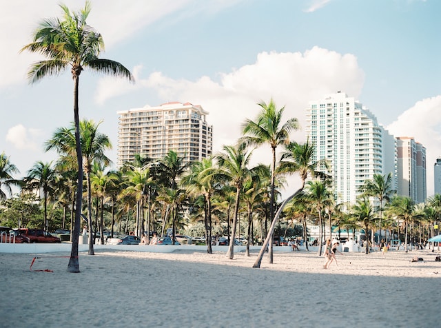 From Beaches to Art: 15 Things to Do in Miami for Every Traveler