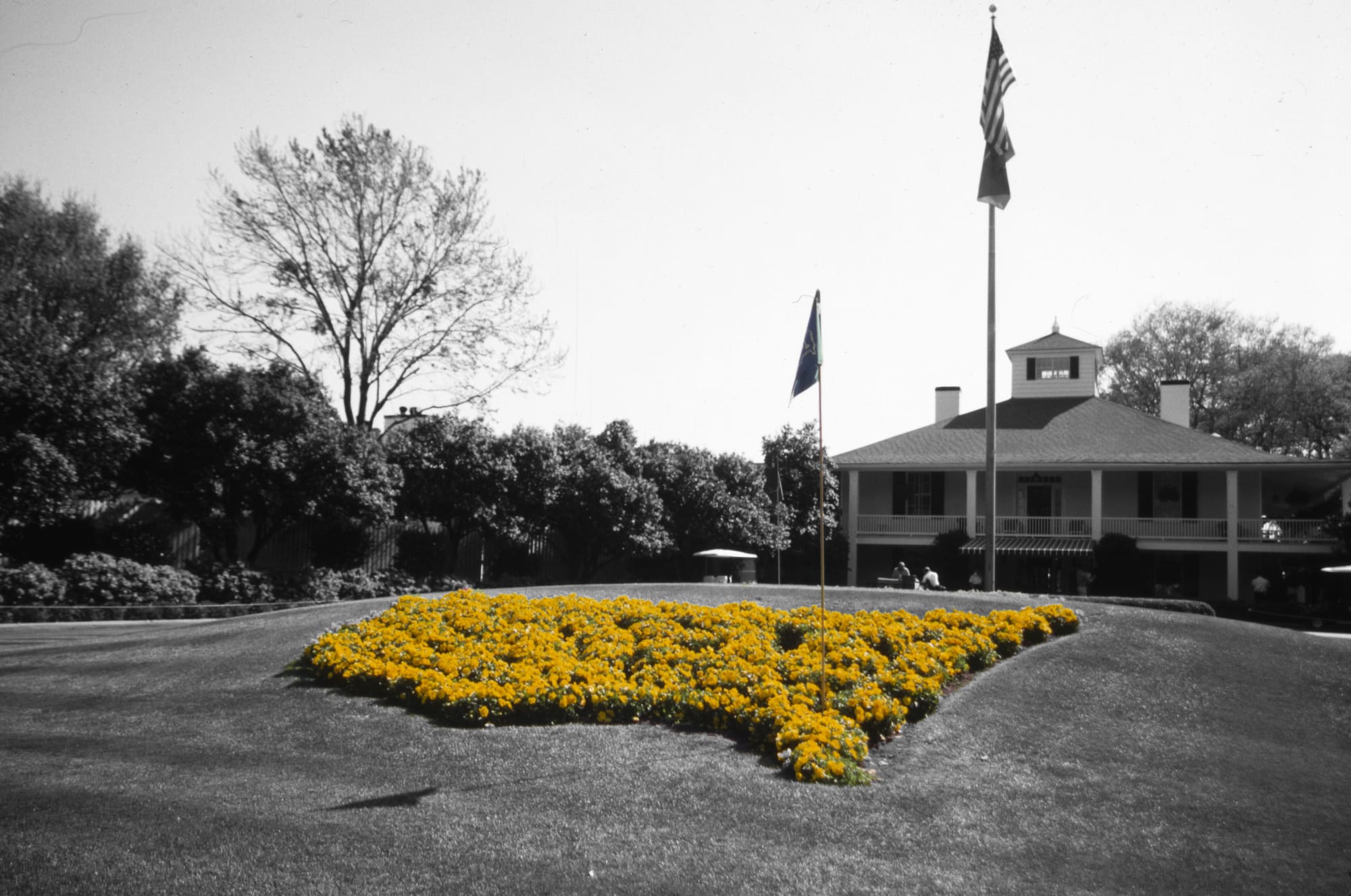 Going to The Master in Augusta